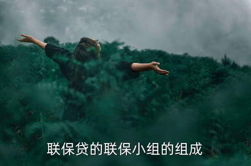 貸款中小組聯(lián)保特征是什么，聯(lián)保貸的聯(lián)保小組的組成