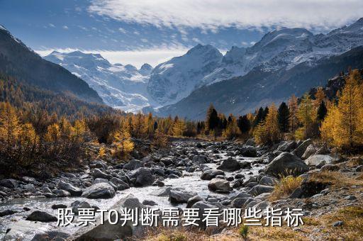 a股t加0用什么指標(biāo)，請問要做T0的話一般參考哪個指標(biāo)