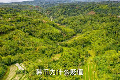 2016韓元為什么對(duì)人民幣貶值，韓幣為什么貶值