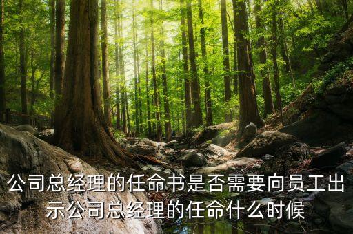 國企高管任免時間什么時候，國企的領(lǐng)導(dǎo)負(fù)責(zé)人是怎么任免的