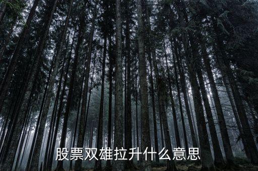石化雙雄漲停意味著什么，股票雙雄拉升什么意思