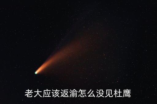 張曉強(qiáng)杜鷹為什么，發(fā)改委副主任杜鷹是誰的孩子