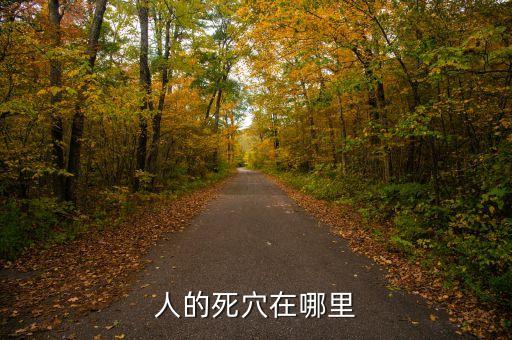 人身死穴在什么地方，人的死穴在哪里