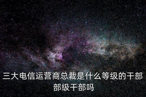 溫冬芬是什么級(jí)別，安徽省天長(zhǎng)市市委書記的行政級(jí)別是什么