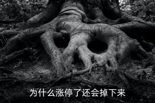 為什么股票漲停會往下掉，股票漲停怎么還會跌下來