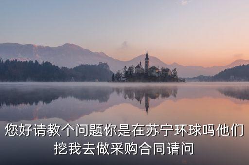 蘇寧環(huán)球是做什么的，蘇寧環(huán)球張桂平是做啥的