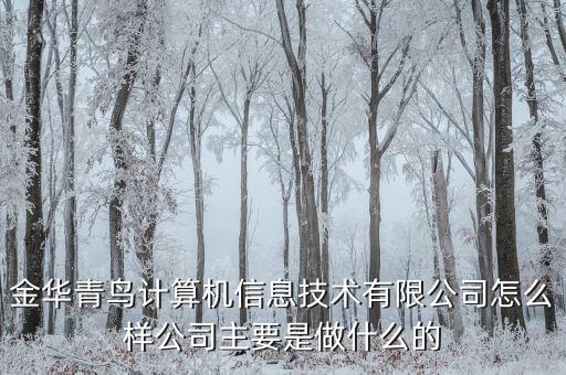 青鳥華光是做什么的，送機(jī)員是做什么的