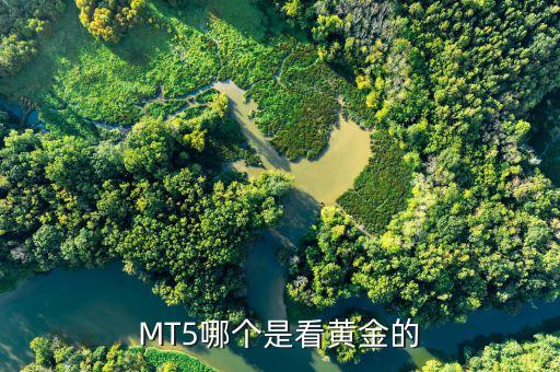 經(jīng)濟(jì)之聲黃金大賽看什么的，經(jīng)濟(jì)之聲的節(jié)目表誰知道呀