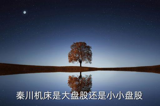 秦川機(jī)床是什么板塊的，600248是屬于什么板塊的股有潛力沒的能看高到多少價(jià)位