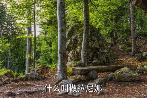 什么叫鄰避運動，駐波特點是什么