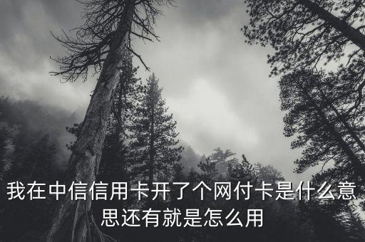 中信銀行網(wǎng)付卡是什么，中信銀行信用卡網(wǎng)付卡