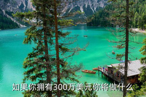 美國(guó)300萬(wàn)美元能做什么，如果你擁有300萬(wàn)美元你將做什么