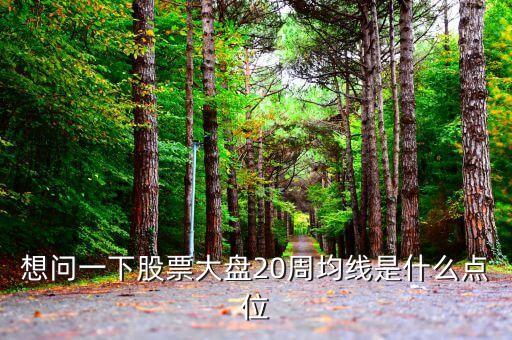 想問(wèn)一下股票大盤20周均線是什么點(diǎn)位