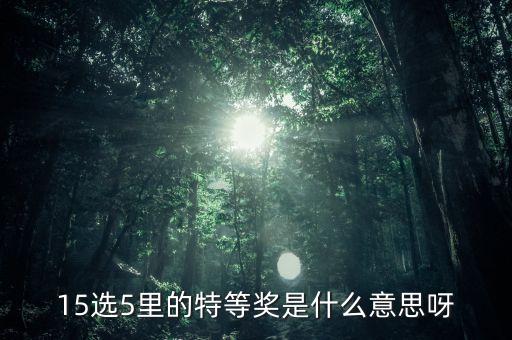 15選5 什么是特等獎，15選5 怎么算中特等獎