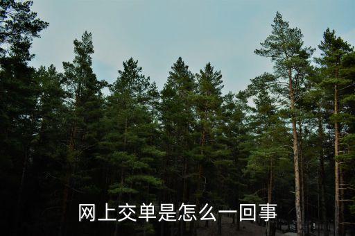 什么叫電子交單，網(wǎng)上交單是怎么一回事