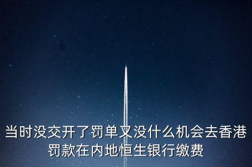 當時沒交開了罰單又沒什么機會去香港罰款在內地恒生銀行繳費