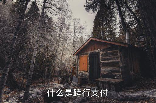 什么是跨行清算，什么叫跨行