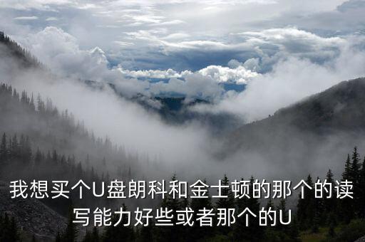 我想買個(gè)U盤(pán)朗科和金士頓的那個(gè)的讀寫(xiě)能力好些或者那個(gè)的U