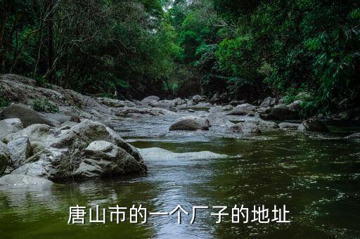 同方國(guó)芯的總部為什么在玉田縣，唐山市的一個(gè)廠子的地址