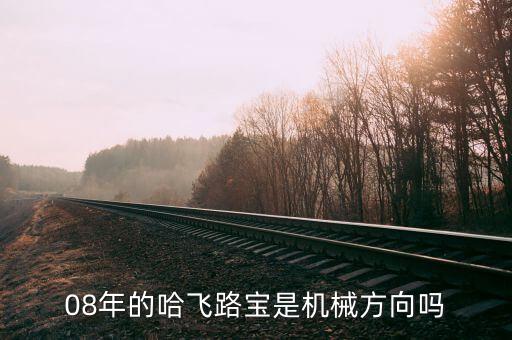 哈飛集團(tuán)用什么專業(yè)，08年的哈飛路寶是機(jī)械方向嗎