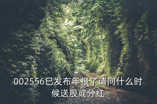 深圳能源什么時候送股，深圳能源什么時候送股
