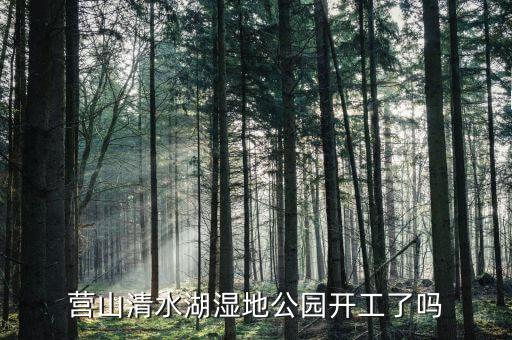 岱湖濕地什么開工，營(yíng)山清水湖濕地公園開工了嗎
