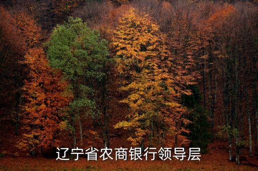 遼寧什么信用聯(lián)社理事長(zhǎng)名單，遼寧省農(nóng)村信用社聯(lián)合社現(xiàn)在叫什么名
