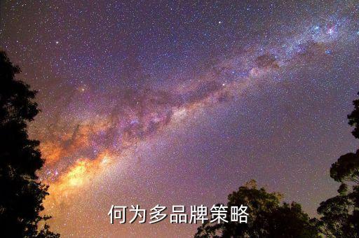 什么是多策略，何為多品牌策略