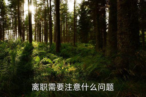 華北制藥辭職需要注意什么，辭職應(yīng)該注意些什么呢