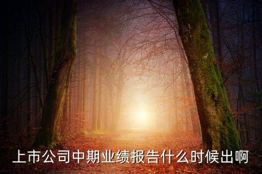 中報業(yè)績最晚什么時間公布，規(guī)定股票中報什么時候出