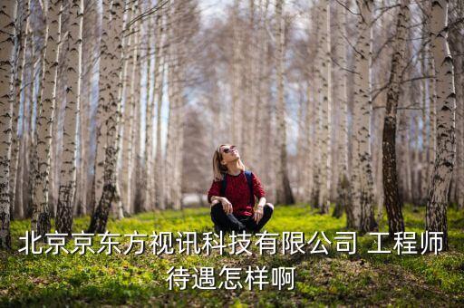 京東方視迅是什么公司，北京京東方視訊科技有限公司 工程師待遇怎樣啊