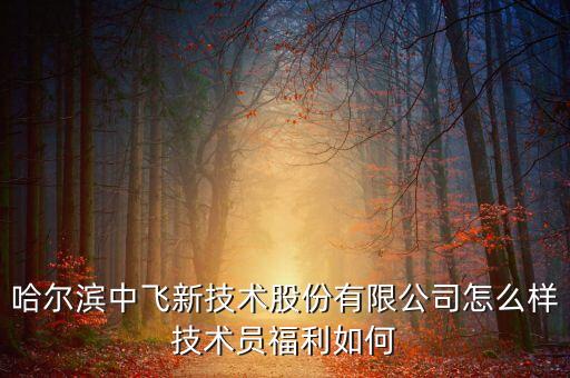 中飛股份公司做什么的，哈爾濱中飛新技術(shù)股份有限公司怎么樣技術(shù)員福利如何