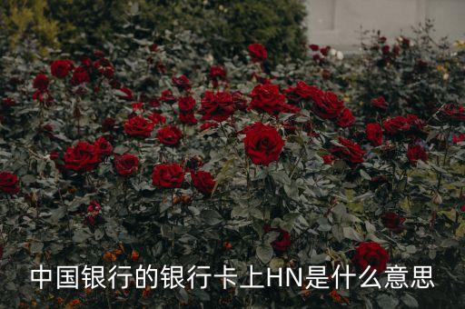 中國銀行n是什么意思，中國銀行的銀行卡上HN是什么意思