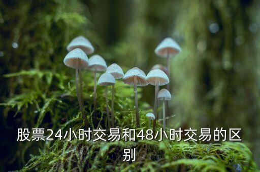 24小時交易是什么意思，股票24小時交易和48小時交易的區(qū)別