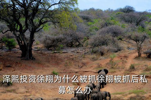 徐翔為什么會(huì)被抓，澤熙投資徐翔為什么被抓徐翔被抓后私募怎么辦