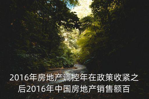 2016房市下一步還能出什么政策，2016年房地產(chǎn)調(diào)控年在政策收緊之后2016年中國(guó)房地產(chǎn)銷售額百
