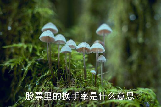 股票中換手率什么意思，股票里面的換手率是什么意思