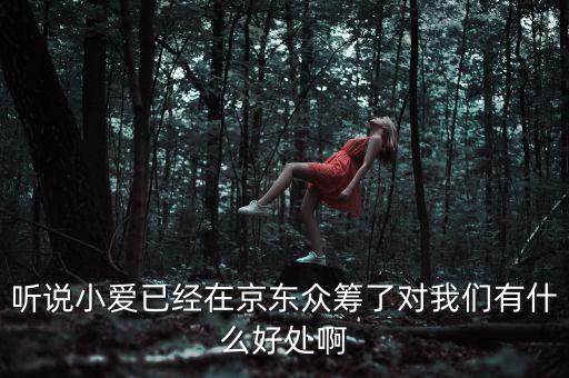 京東jimi機(jī)器人有什么作用，jimi 是什么意思