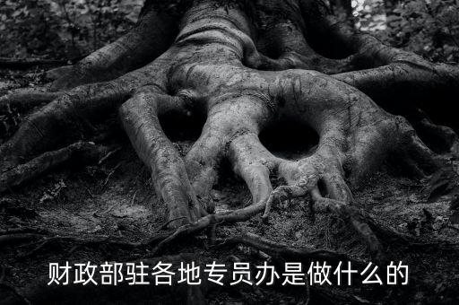財(cái)專辦是什么，財(cái)政部駐各地專員辦是做什么的