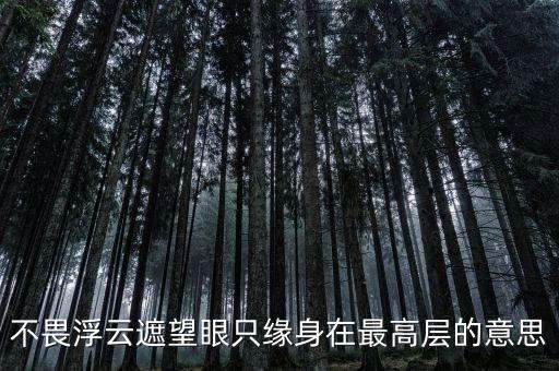 不畏浮云遮望眼什么意思，不畏浮云遮望眼 只緣身在最高層是什么意思