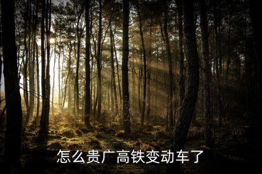 高鐵什么時候變動車，怎么貴廣高鐵變動車了