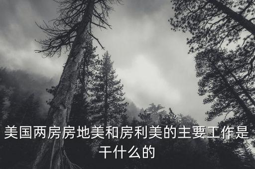 房地美和房利美是干什么的，房地美和房利美是什么意思