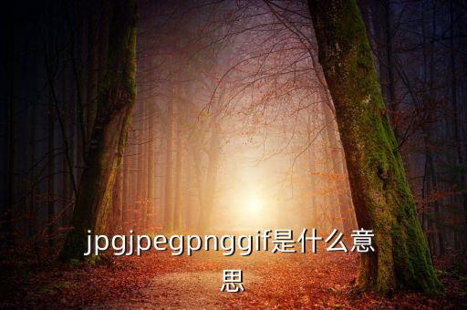 什么是代價比率，JPG文件會有病毒嗎