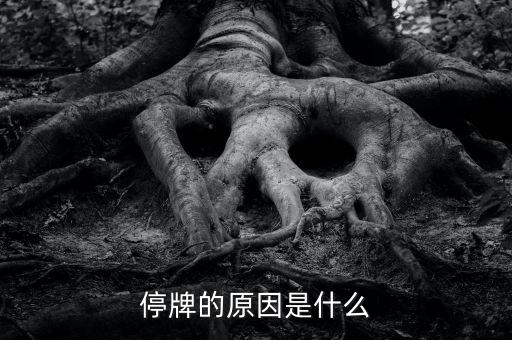 上海萊士為什么停牌，今天早上萊鋼為什么要停牌 一小時 是萊鋼申請的嗎