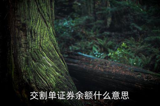 交割單中的剩余金額是什么，中原證券交割單里的本次金額什么意思