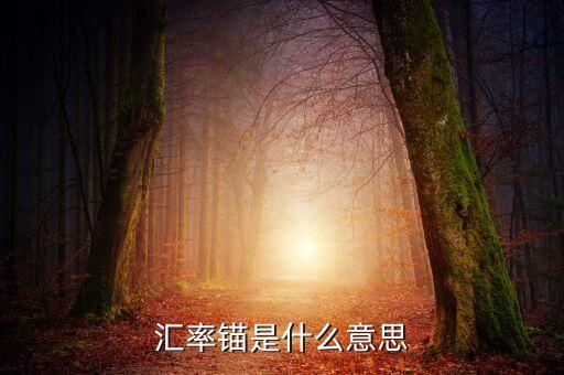 什么是利率錨，利率錨是什么意思 在線等