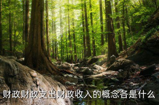 什么是財(cái)政支出，財(cái)政支農(nóng)支出的含義是什么