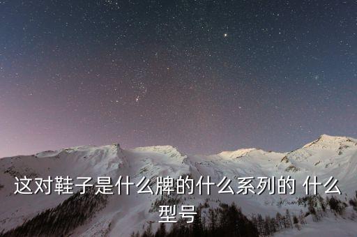 這對鞋子是什么牌的什么系列的 什么型號