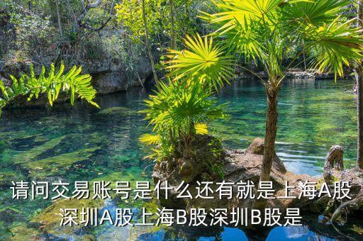 股東賬號(hào)是什么，請(qǐng)問(wèn)交易賬號(hào)是什么還有就是上海A股深圳A股上海B股深圳B股是