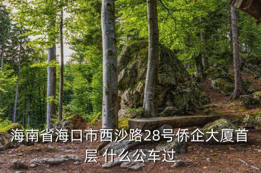 海南公務(wù)車什么號(hào)段，誰知道海南41 11月20日開的什么號(hào)碼